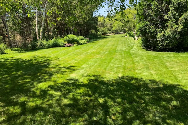 Freshly mowed green lawn with visible mowing stripes